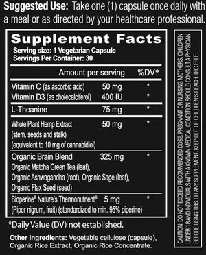 Diol Brain